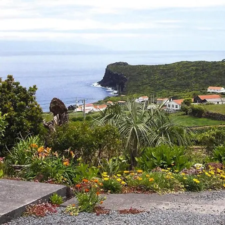 Ferienhäuser Adegas Do Pico In Prainha - Pdl02001-fyd Prainha (Sao Roque do Pico)